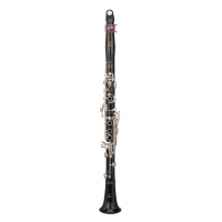RZ Conservatory RZ-CL4400-0 Bb, 440/442Hz 17 Keys Bb кларнет